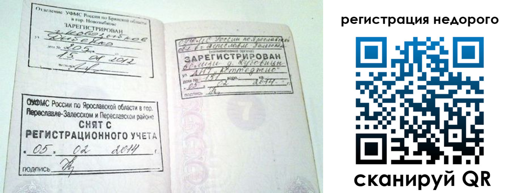 прописка поиск в Вологде